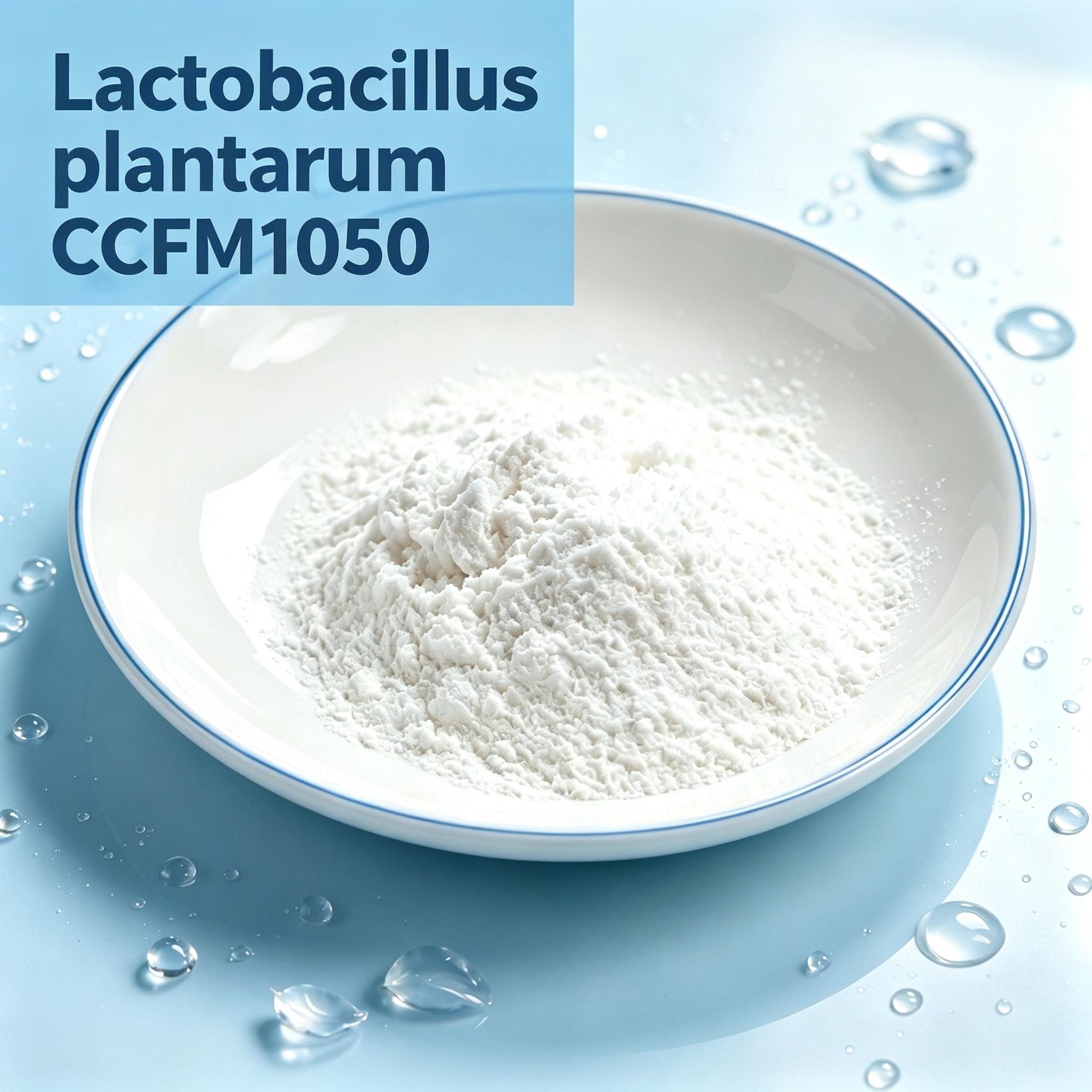 Lactiplantibacillus Plantarum CCFM1050 Probiotic Raw Material Bulk Powder for Gut Health Supplements